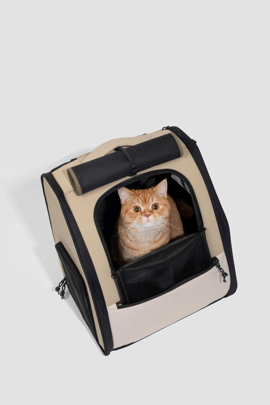 Pet Backpack with large capacity - PawsAndUnion