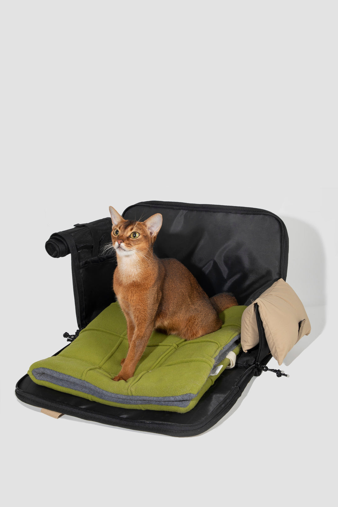 Pet outside one shoulder bag - PawsAndUnion