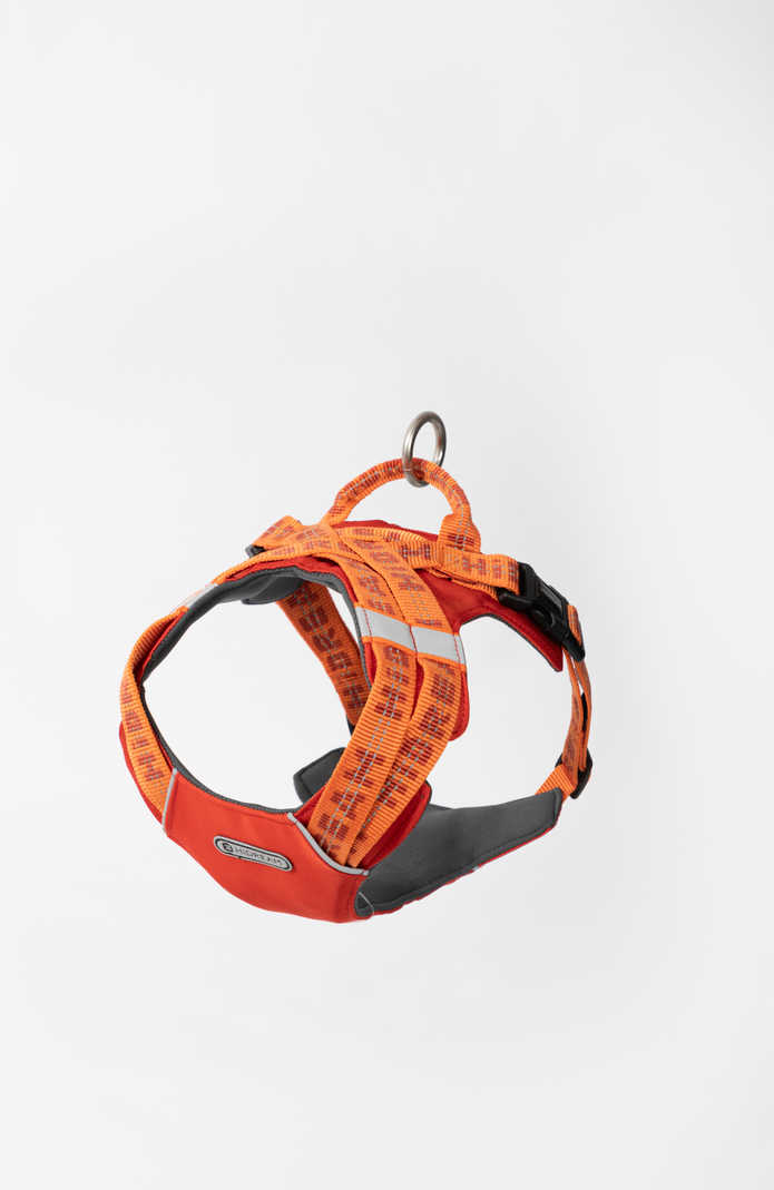 Reflective Dog Harness - PawsAndUnion