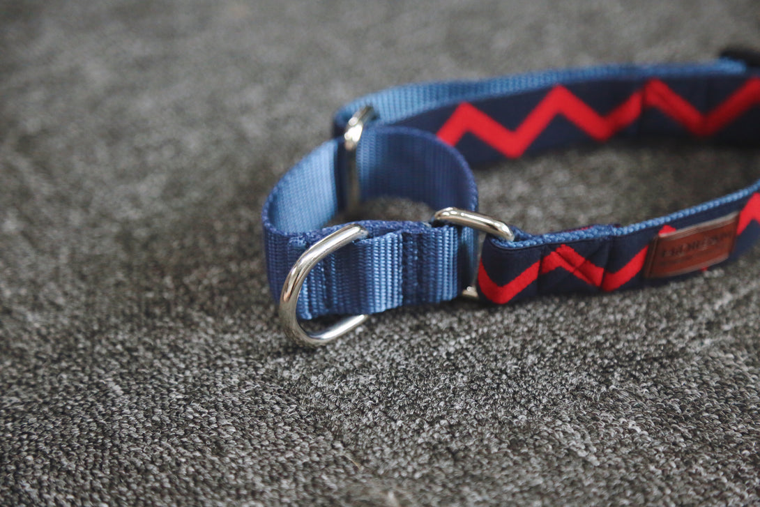 Dog Collar - PawsAndUnion