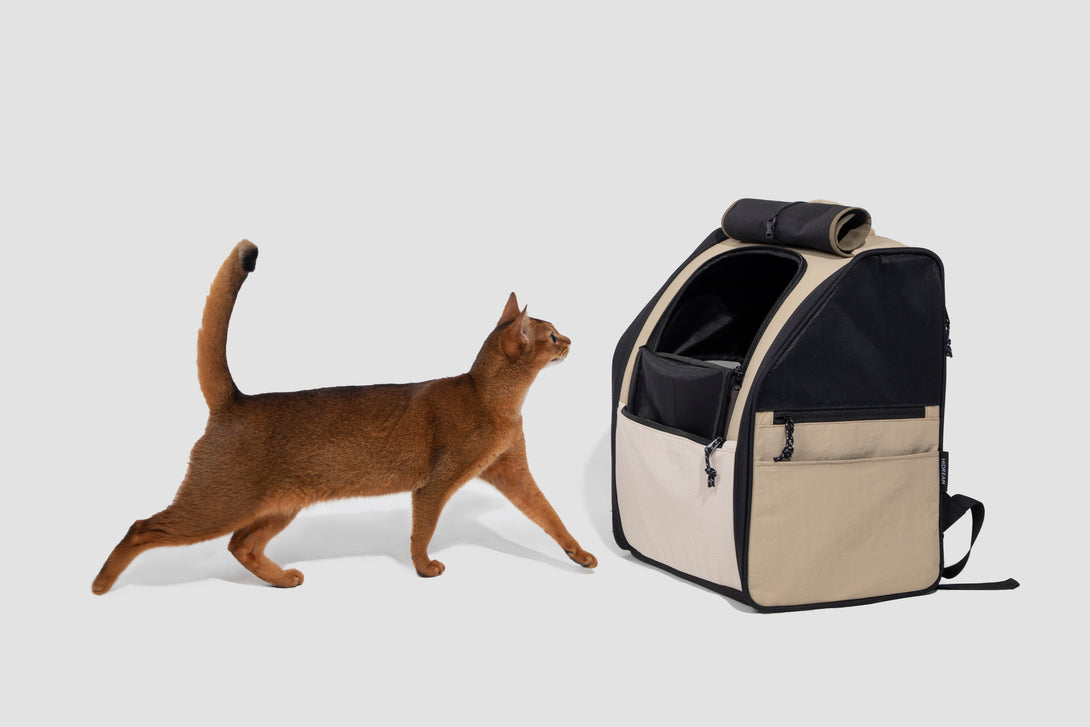 Pet Backpack with large capacity - PawsAndUnion