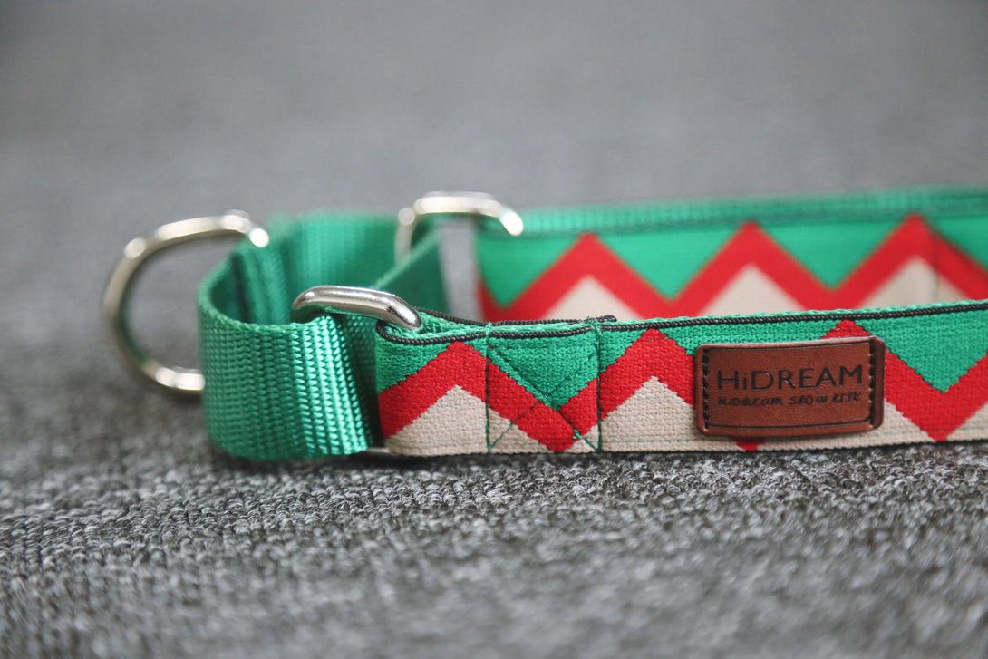 Dog Collar - PawsAndUnion