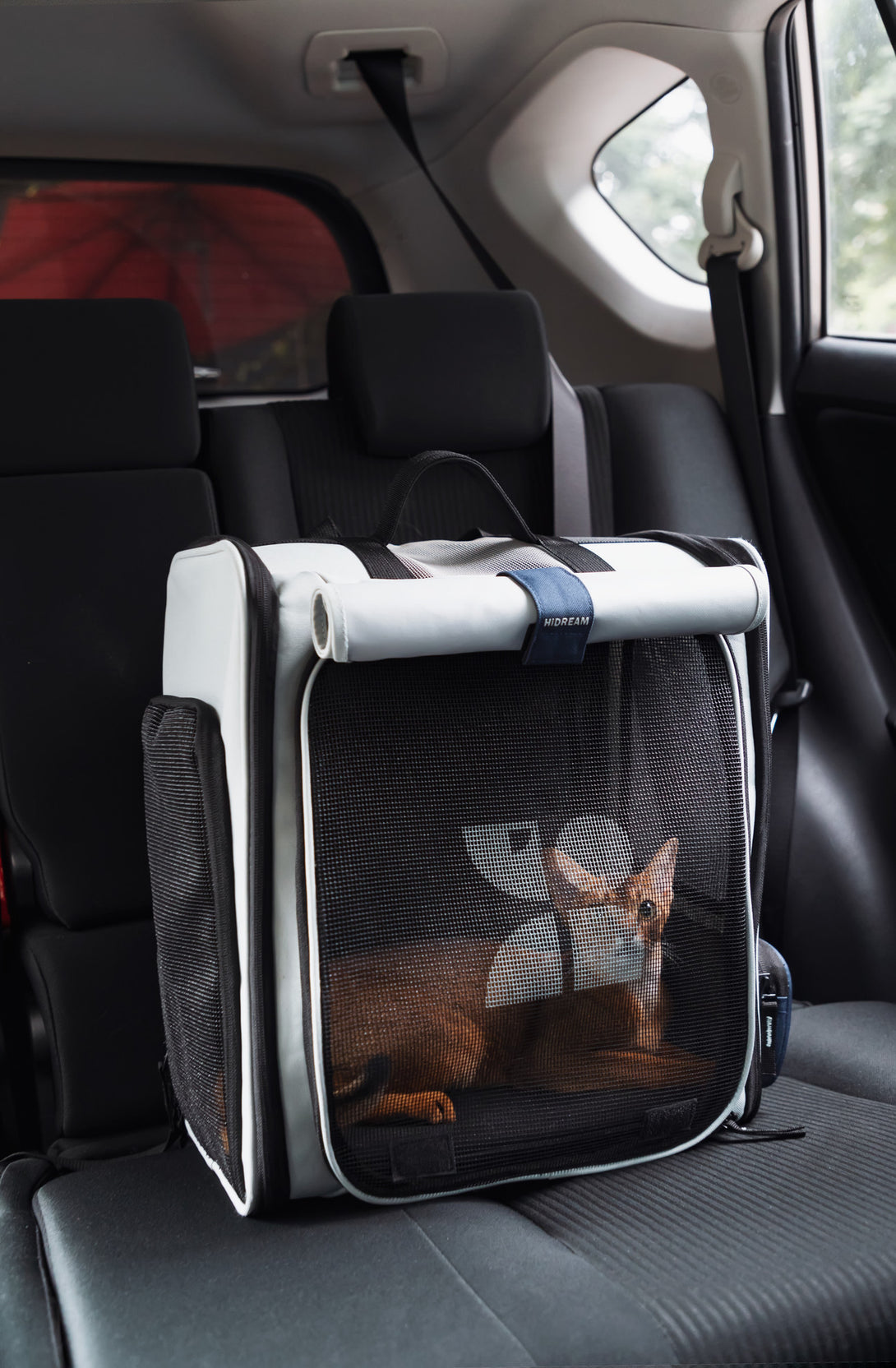 Pet backpack with large capacity - PawsAndUnion