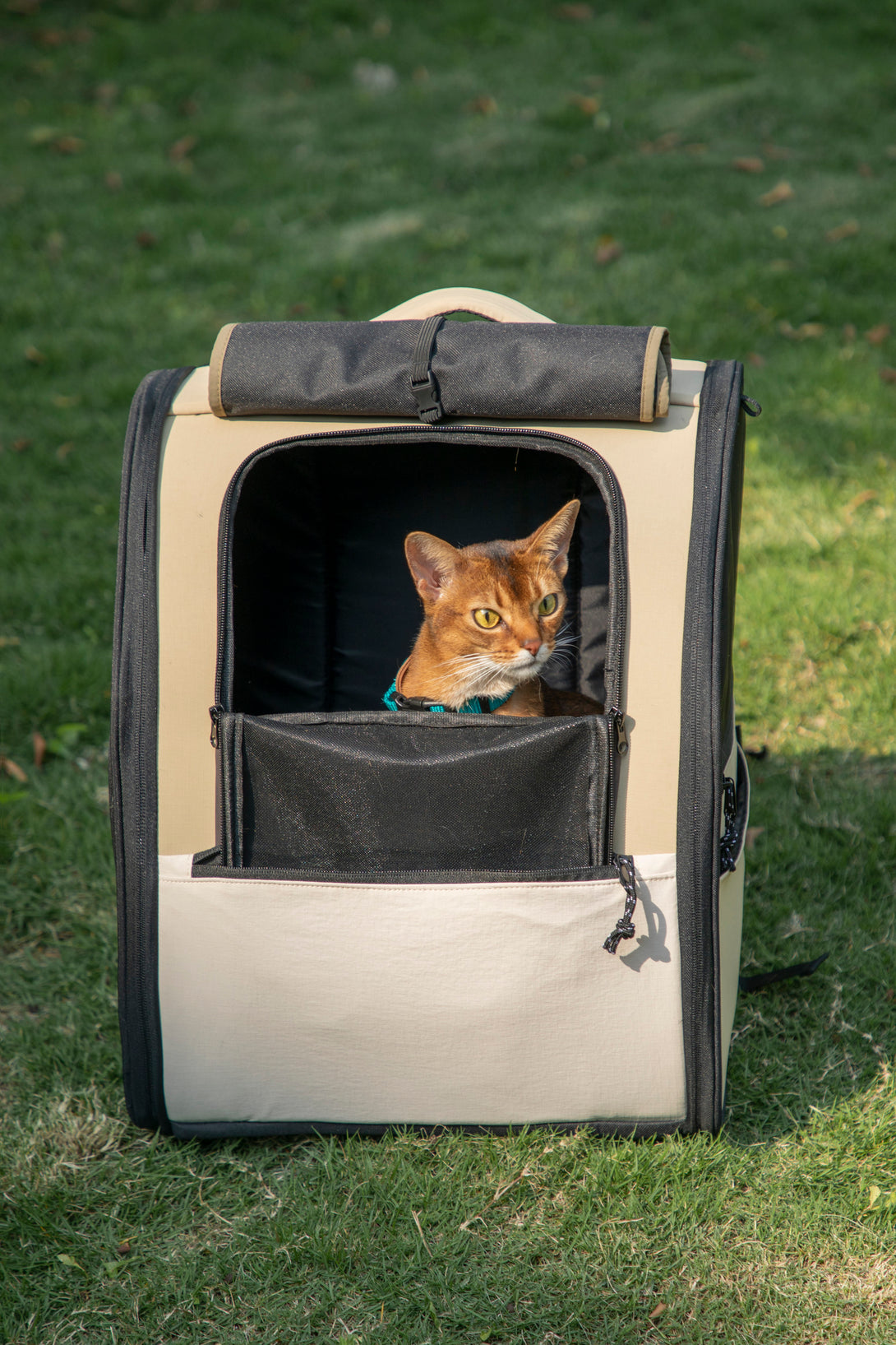 Pet Backpack with large capacity - PawsAndUnion