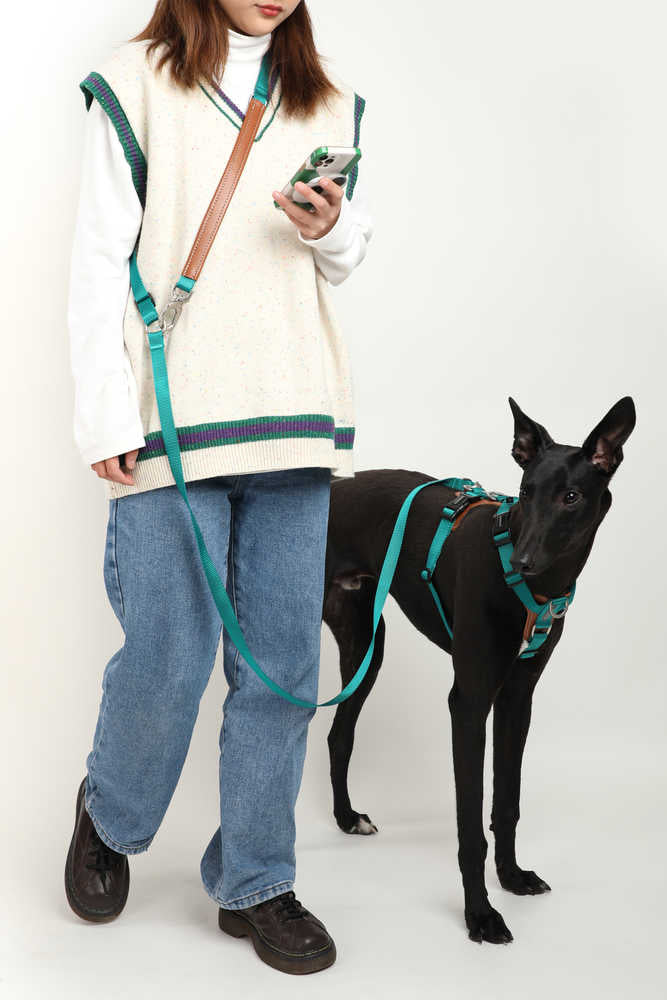 Dog Harness - PawsAndUnion