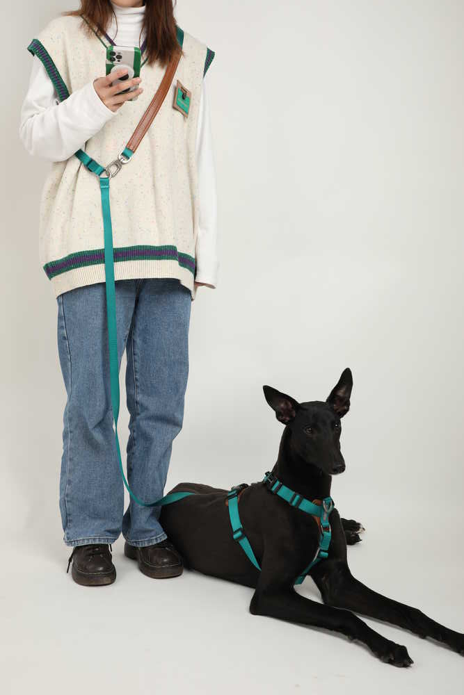 Dog Harness - PawsAndUnion