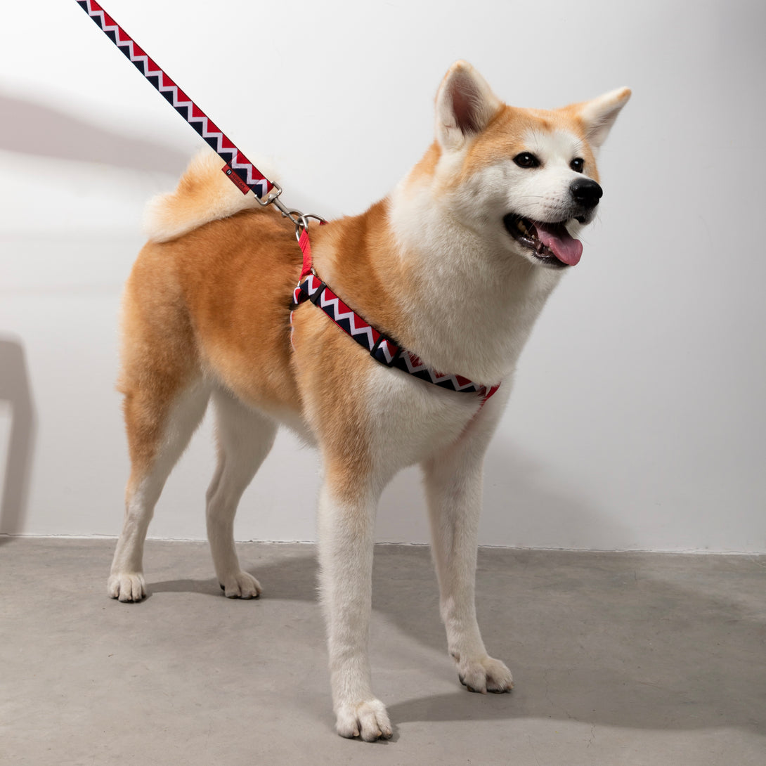 Dog Harness - PawsAndUnion