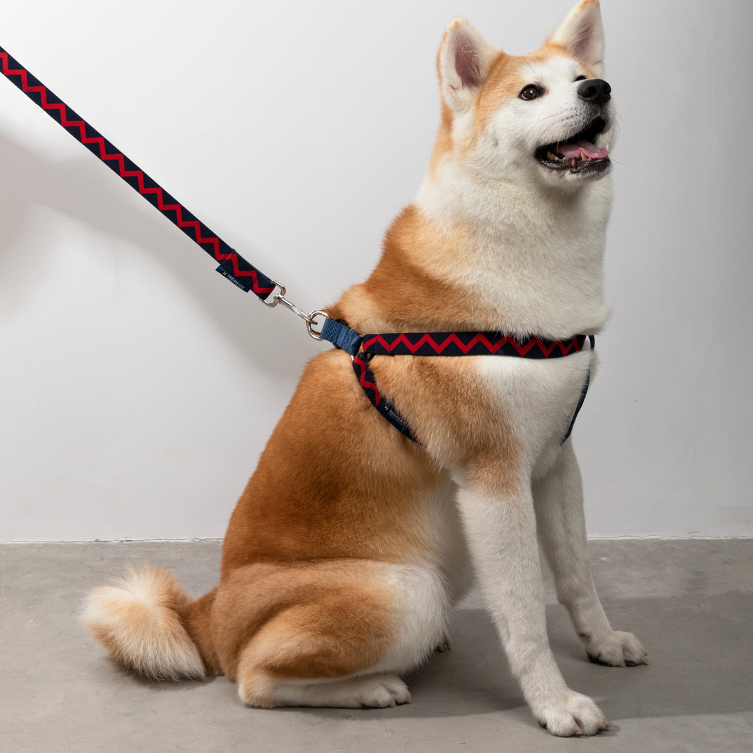 Dog Harness - PawsAndUnion