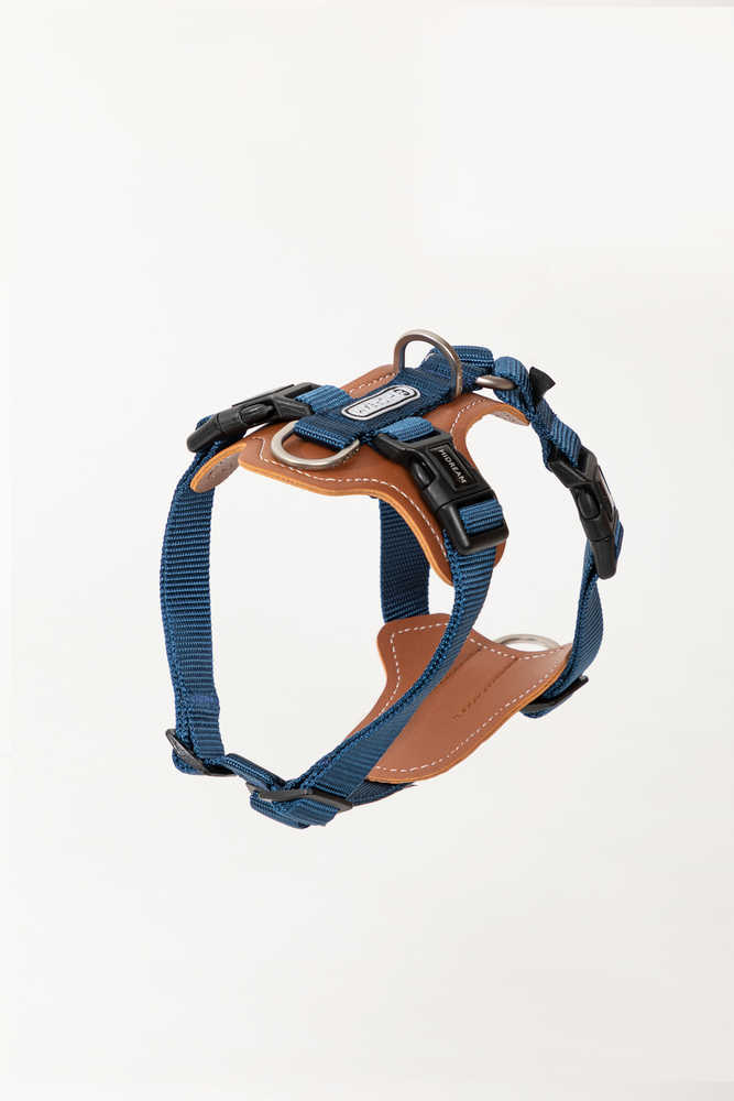 Dog Harness - PawsAndUnion