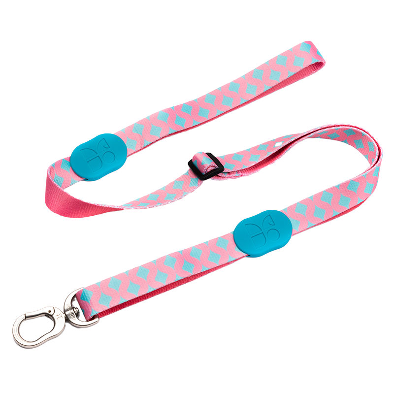 Dog Leash - PawsAndUnion