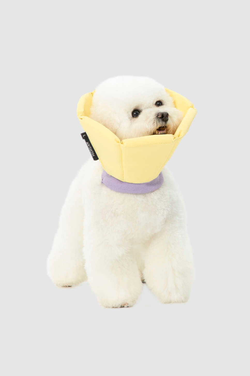 Dog & Cat Foam Cone Collar - PawsAndUnion