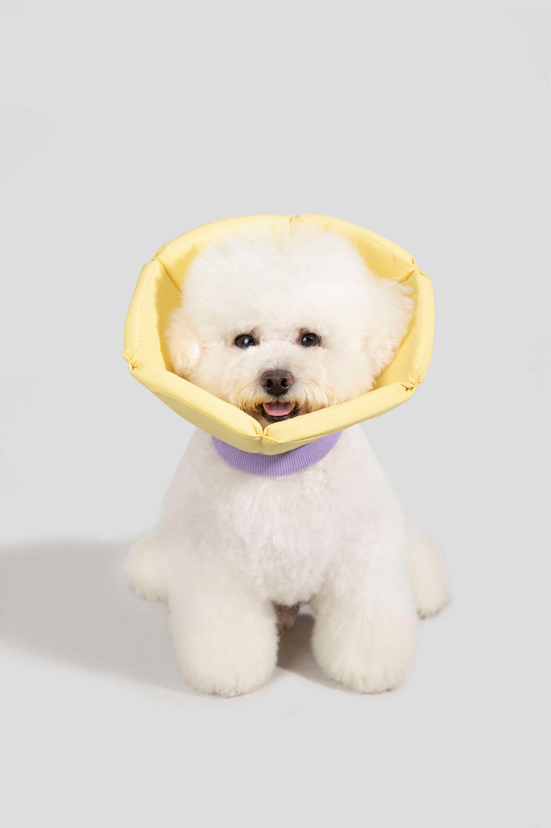 Dog & Cat Foam Cone Collar - PawsAndUnion