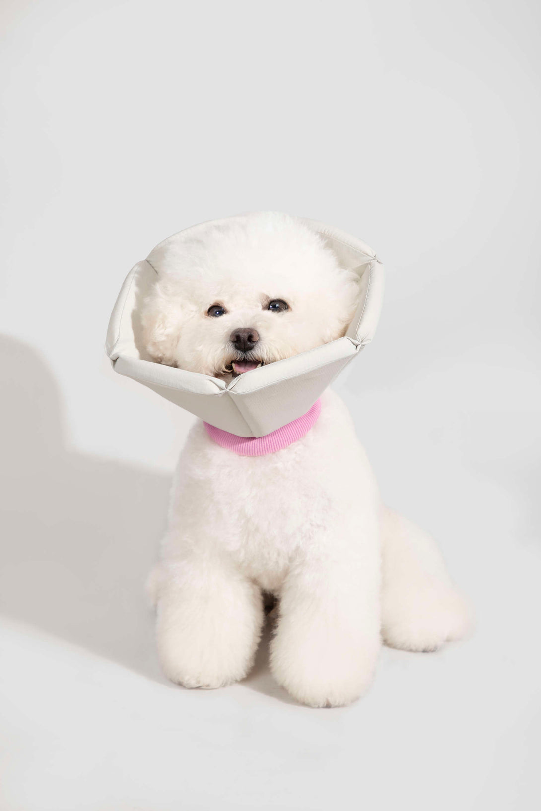 Dog & Cat Foam Cone Collar - PawsAndUnion