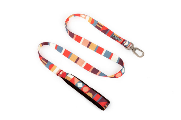 Soft Handle Dog Leash with Padded Handle, Durable & Safe for Medium Large Dogs