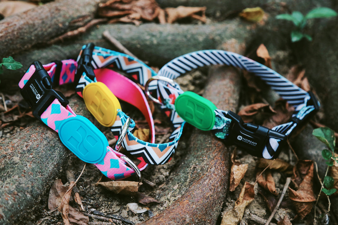 Dog Collar - PawsAndUnion