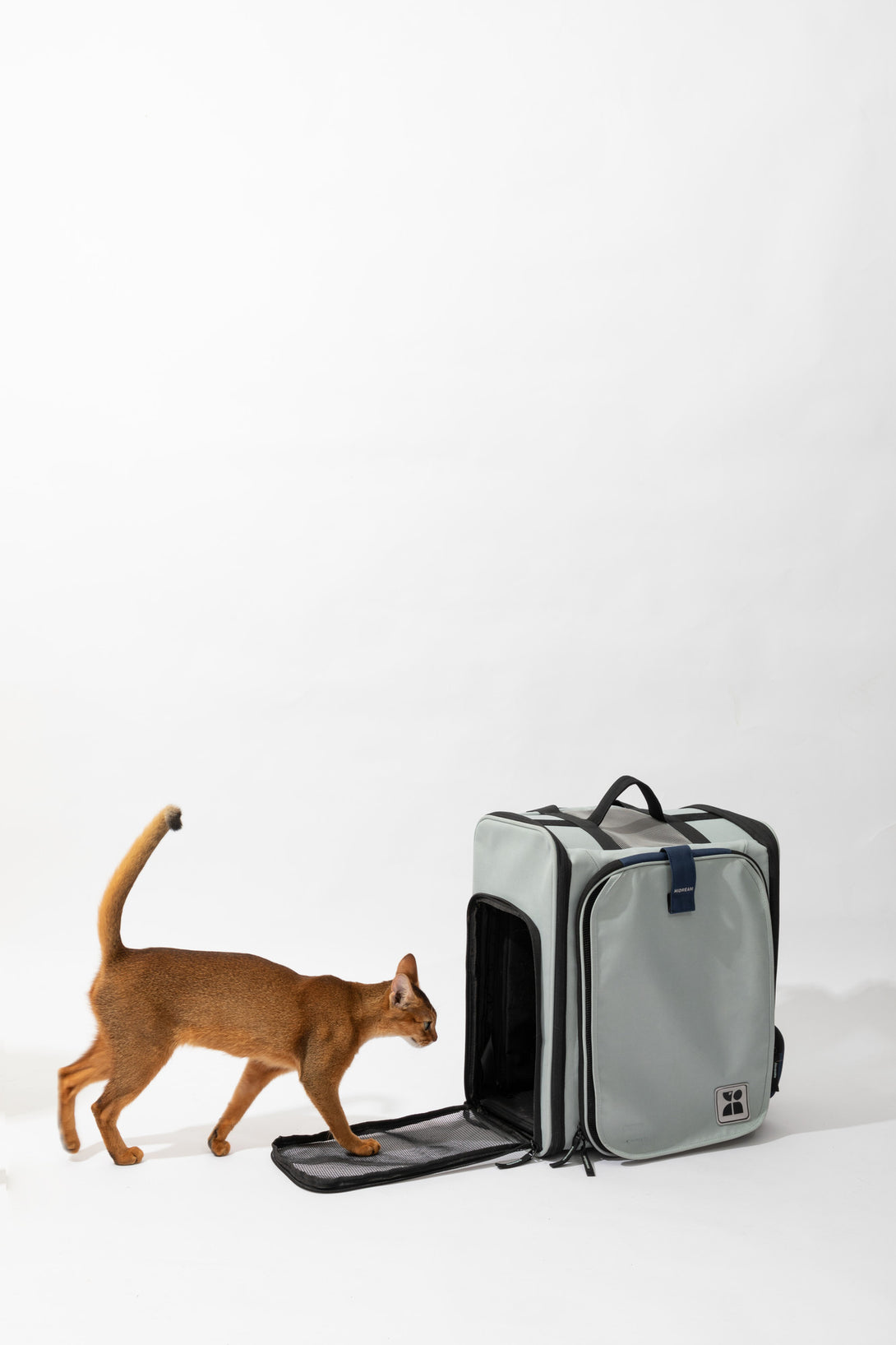 Pet backpack with large capacity - PawsAndUnion