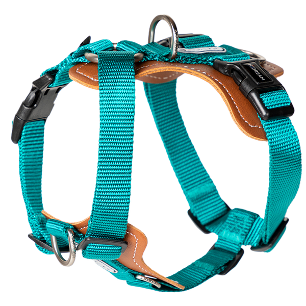 Dog Harness - PawsAndUnion