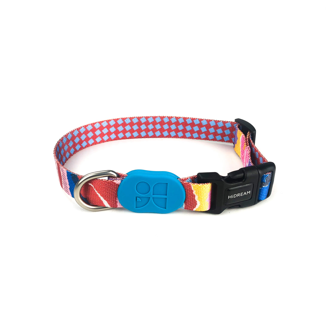 Dog Collar - PawsAndUnion