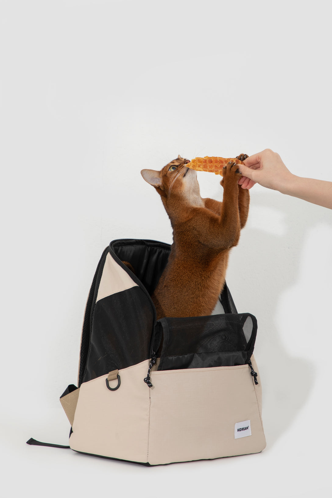 Lightweight pet backpack - PawsAndUnion