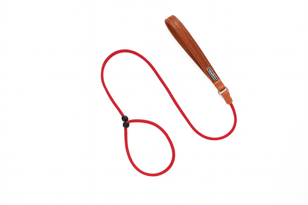 Leather Handle Dog Slip Lead 150cm – Durable Nylon Rope, Anti-Pull Training Lead