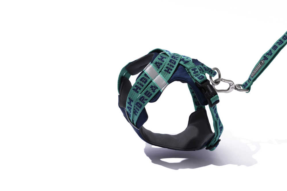 Reflective Dog Harness - PawsAndUnion