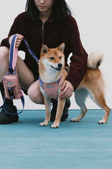 Reflective Dog Harness - PawsAndUnion