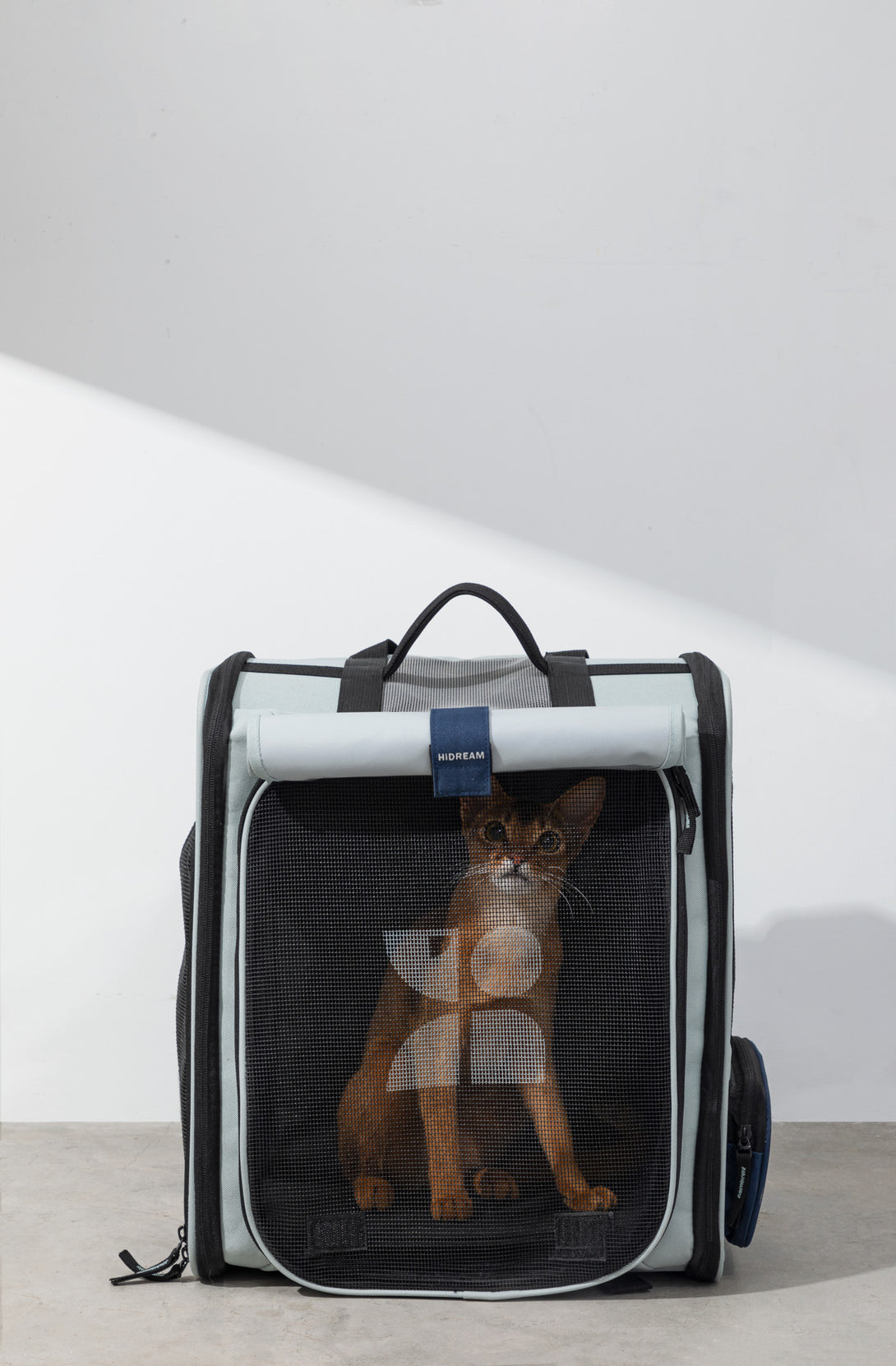 Pet backpack with large capacity - PawsAndUnion