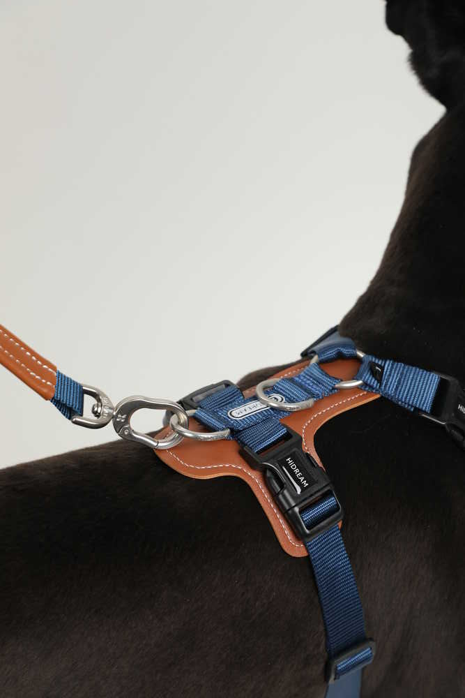 Dog Harness - PawsAndUnion