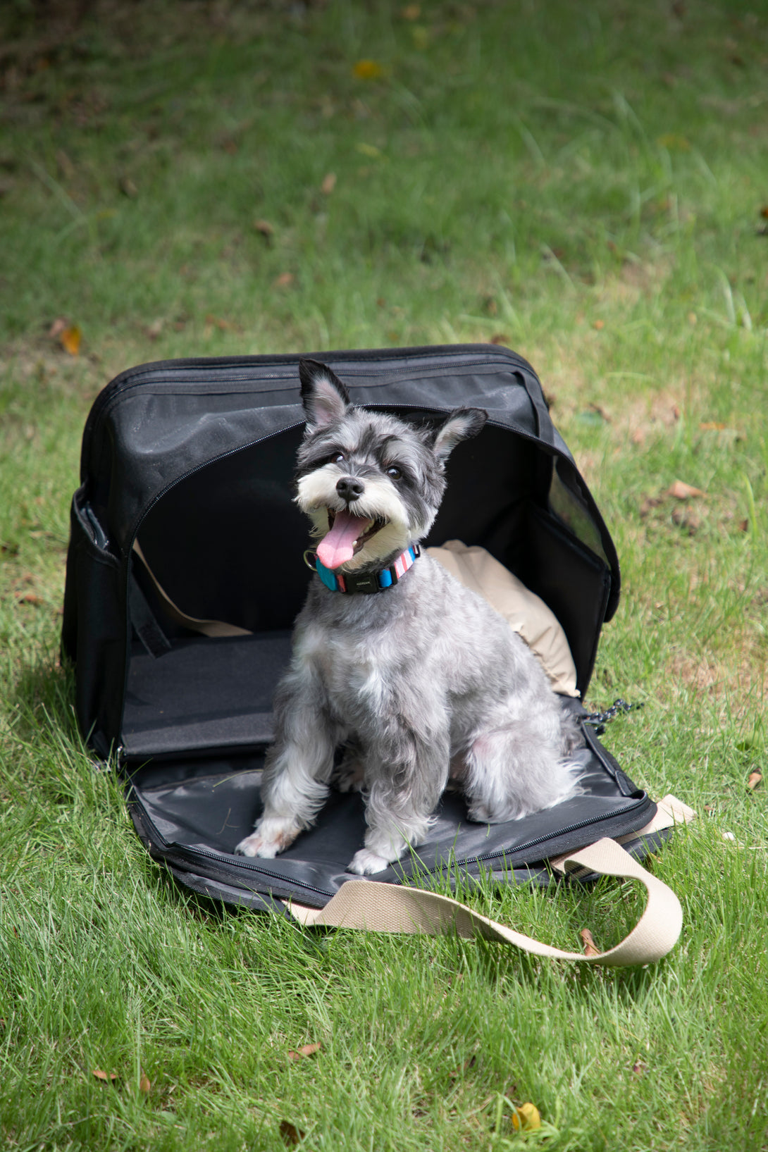 Pet outside one shoulder bag - PawsAndUnion