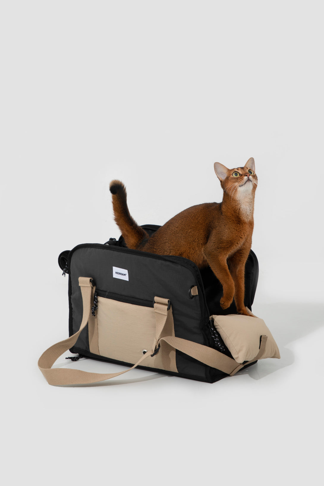 Pet outside one shoulder bag - PawsAndUnion