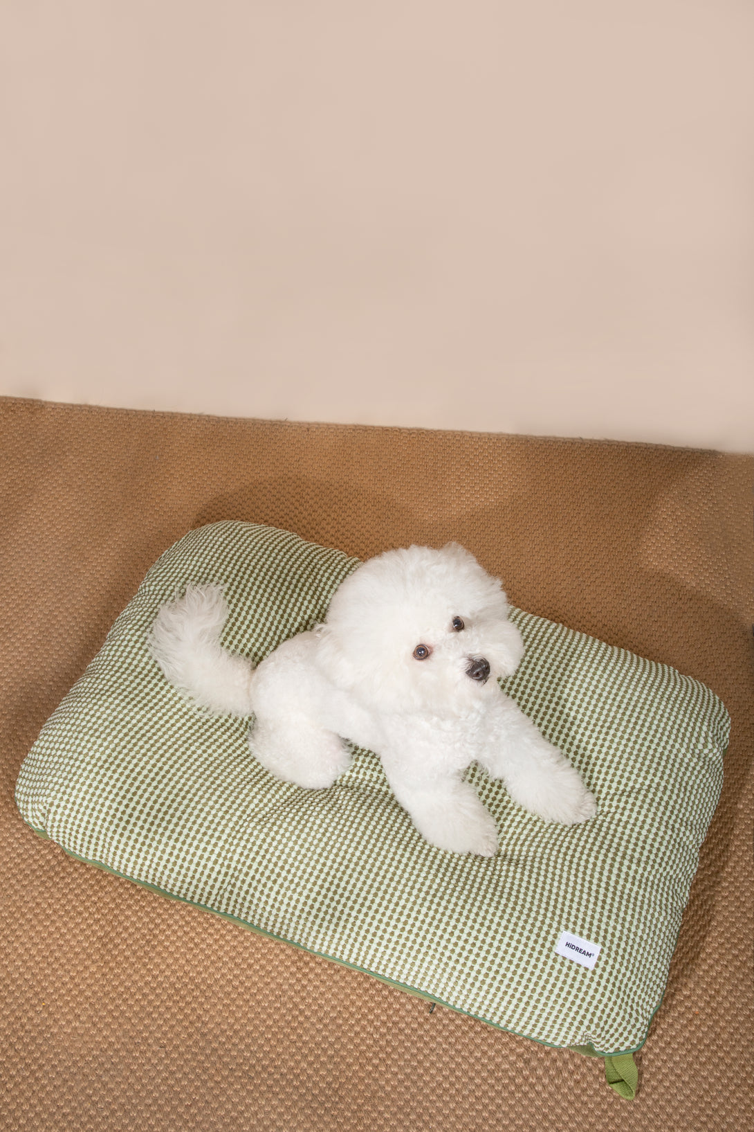 soft pet mat - PawsAndUnion