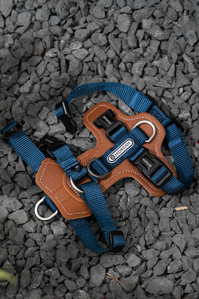 Dog Harness - PawsAndUnion