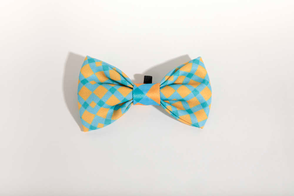 Dog & Cat Bow-knot - PawsAndUnion