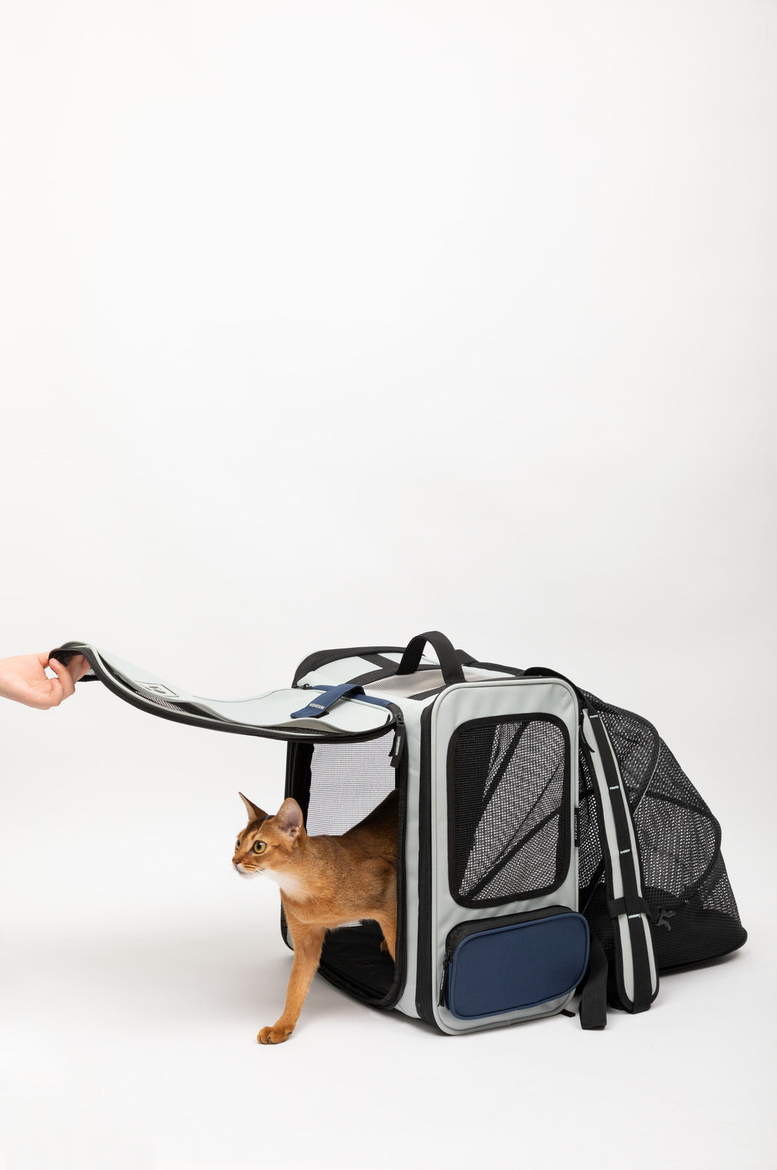 Pet backpack with large capacity - PawsAndUnion