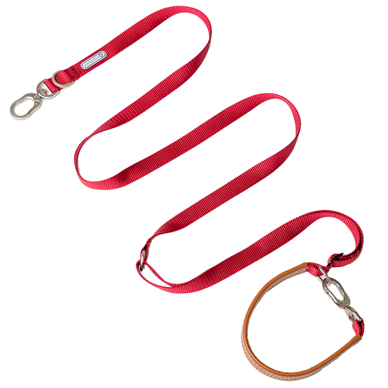 Multi-functional Crossbody Dog Leash - PawsAndUnion