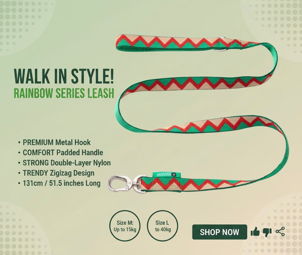 Rainbow Series Dog Lead – No Pull, Soft Handle, Stylish Strong Nylon Leash for Small & Medium And Large Dogs