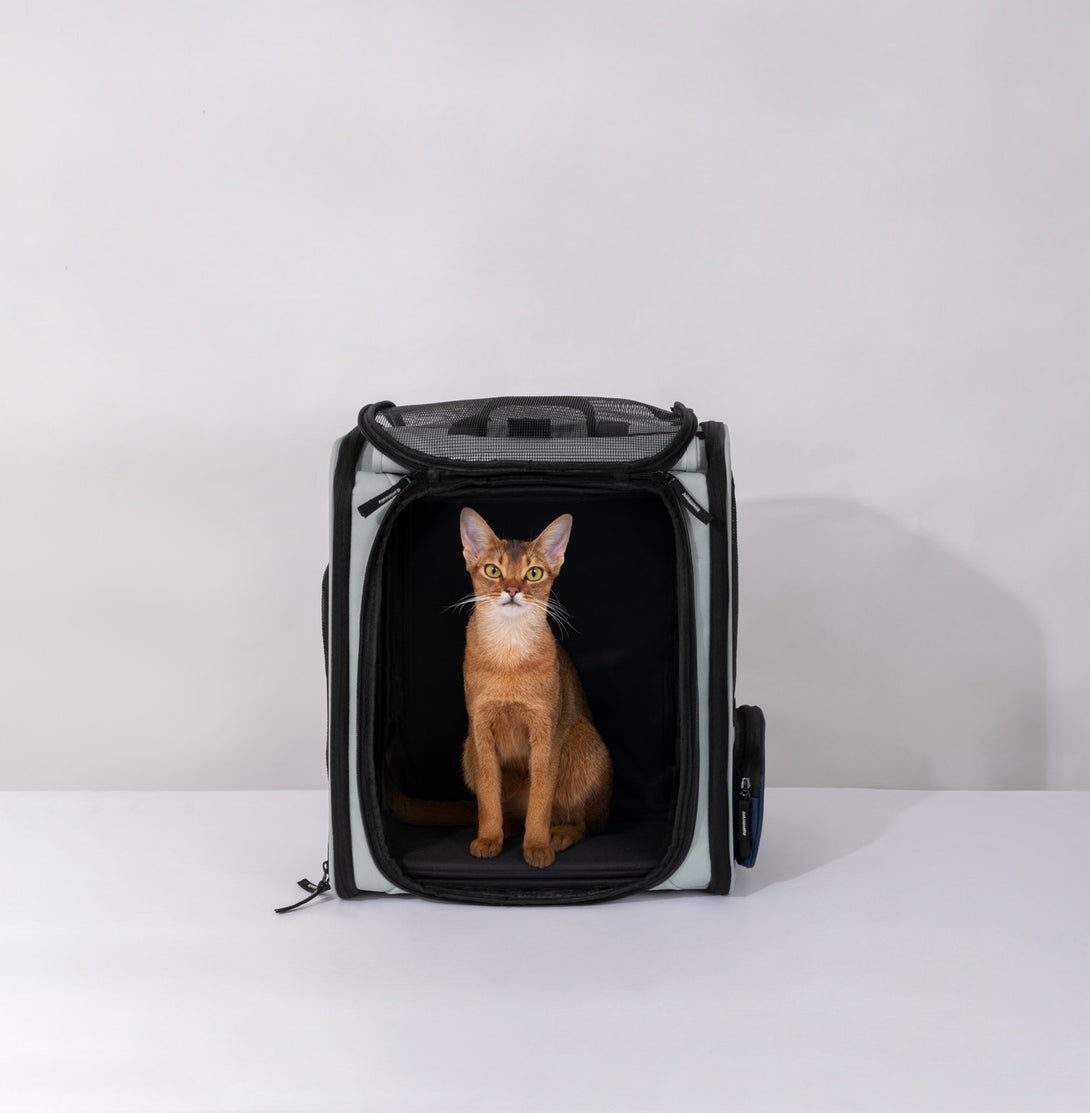 Pet backpack with large capacity - PawsAndUnion