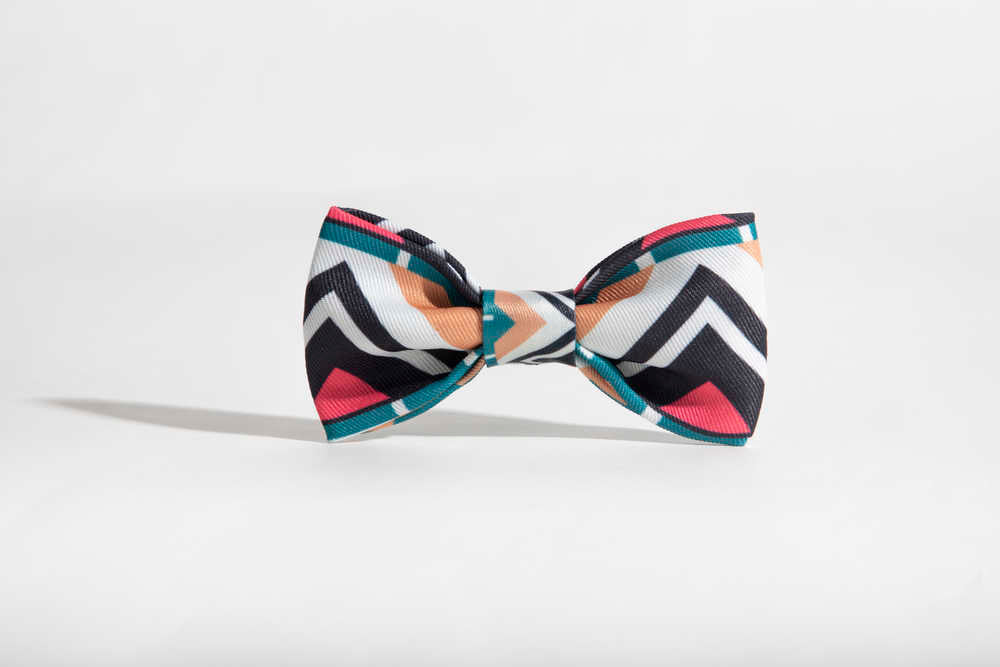 Dog & Cat Bow-knot - PawsAndUnion