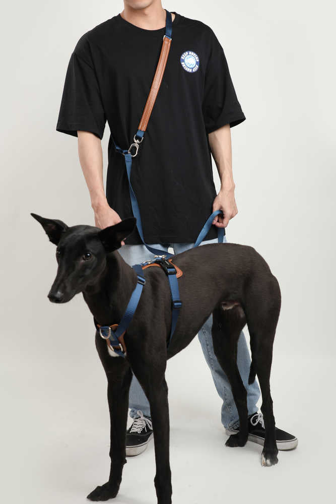 Dog Harness - PawsAndUnion