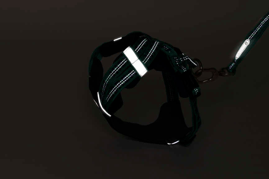 Reflective Dog Harness - PawsAndUnion