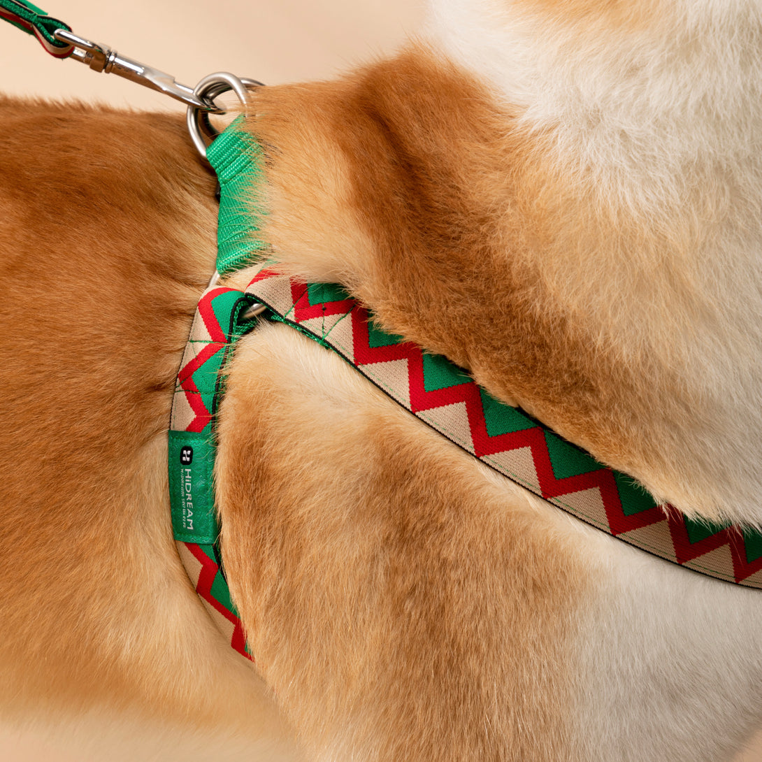 Dog Harness - PawsAndUnion