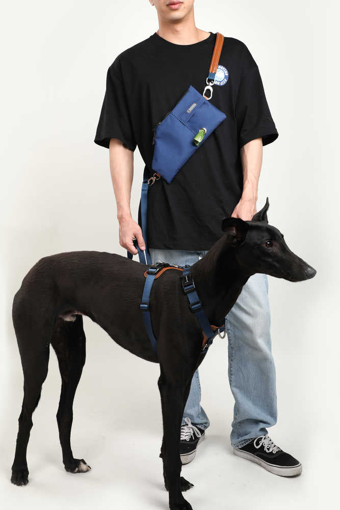 Dog Harness - PawsAndUnion