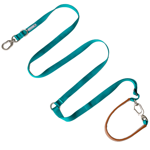 Multi-functional Crossbody Dog Leash - PawsAndUnion