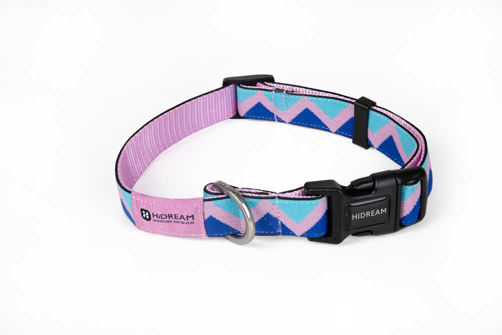 Dog Collar - PawsAndUnion