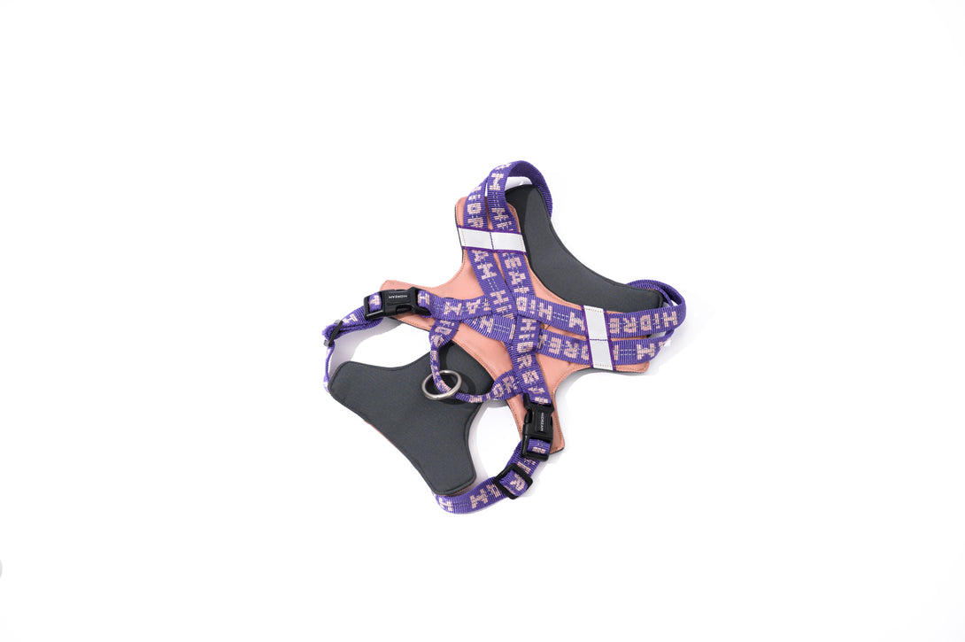 Reflective Dog Harness - PawsAndUnion