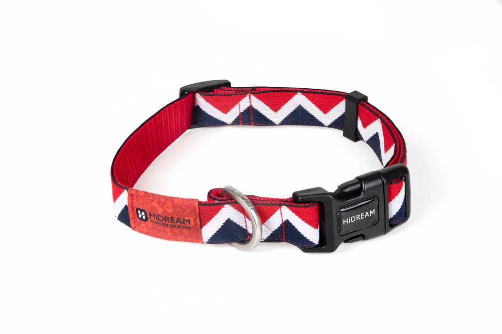 Dog Collar - PawsAndUnion