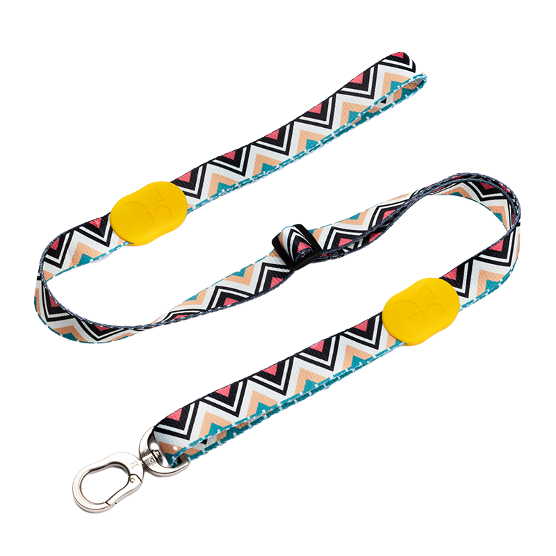 Dog Leash - PawsAndUnion