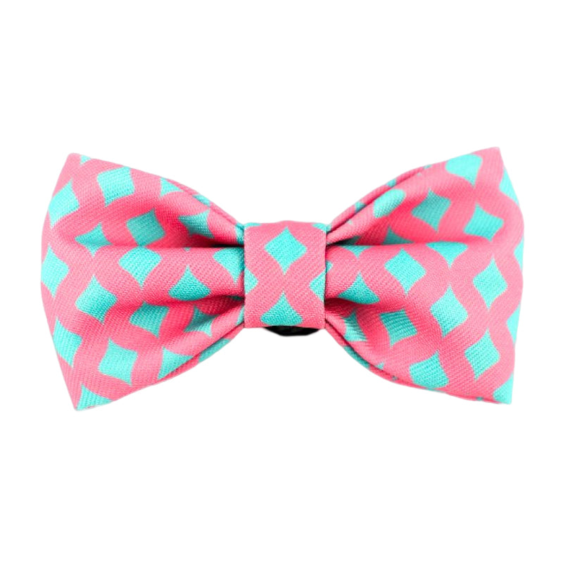 Dog & Cat Bow-knot - PawsAndUnion