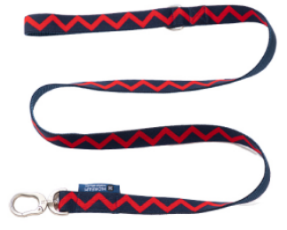 Dog Leash - PawsAndUnion