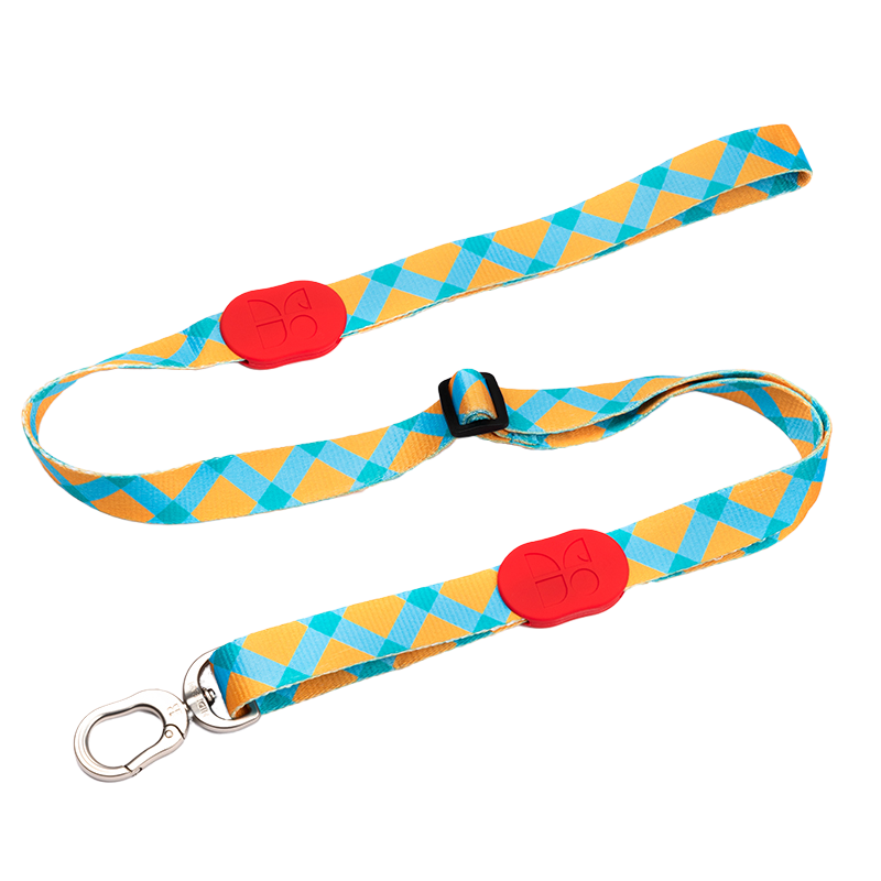 Dog Leash - PawsAndUnion